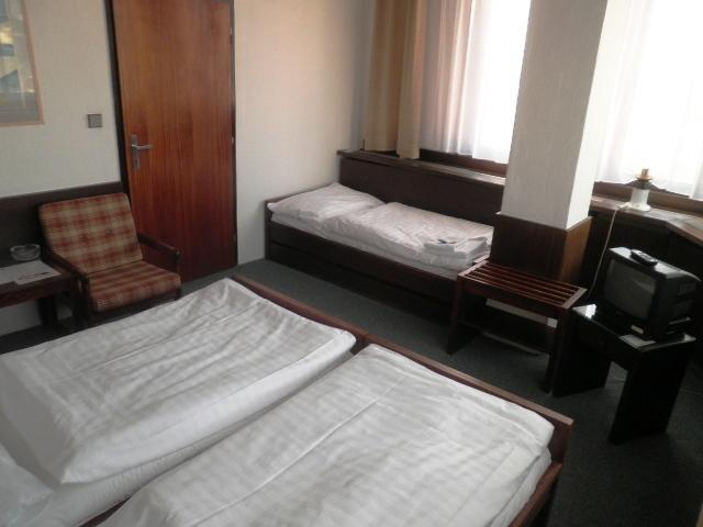 Hotel Vladimir Ústí nad Labem Δωμάτιο φωτογραφία